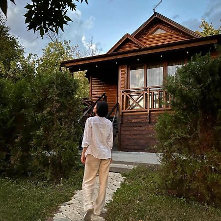 Poiana Bradului Complex Hotelier & Restaurant Colonita Extérieur photo